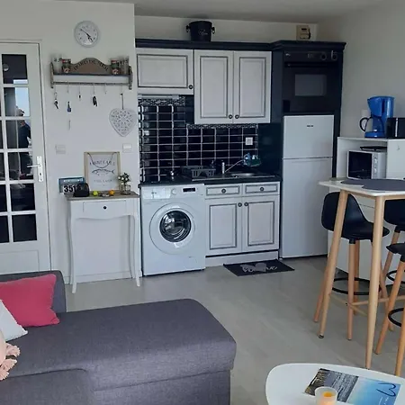 4 Couchages, Face A La Mer Avec Balcon Et Parking Privatif - Fr-1-672-37 *